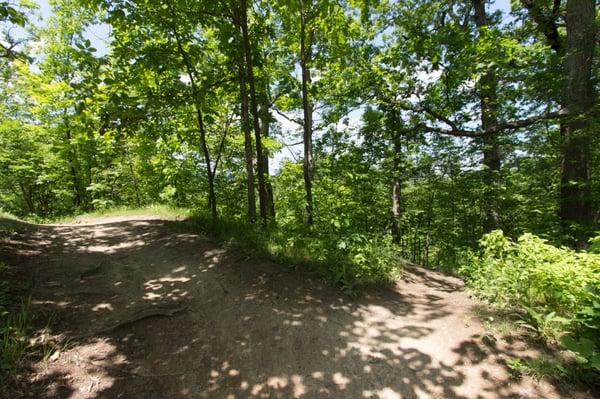 The path on the left leads to the top of the waterfall--the hike isn't bad at all. The path on the right goes down, down, down.