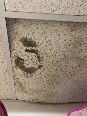 Black mold