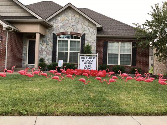 My sister loved her "pink flamingos" surprise on Wednesday, thank you!