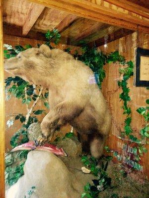 Bear on display in the bar