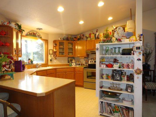 kitchen remodel before