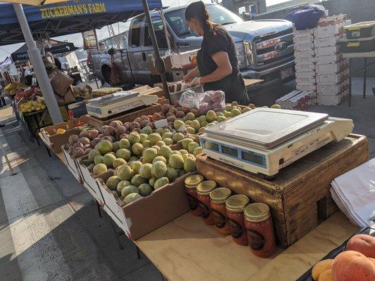 Plums and pluots, shelter in place