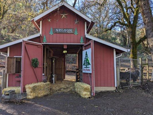 Nelson's Christmas Trees