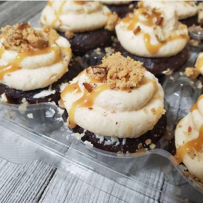 Praline Dream Brownie cupcakes