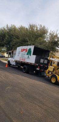 IPS Tree Service