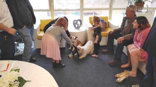 Inside Room for Weddings...We have dogs to play with too!