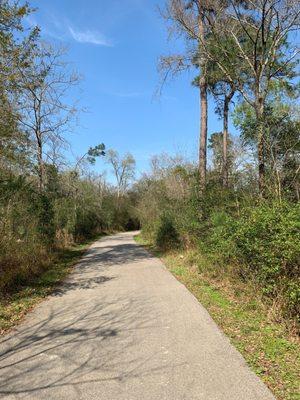 Walking trail