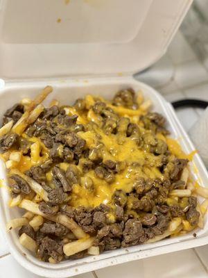 Fries with Carne Asada & Cheese