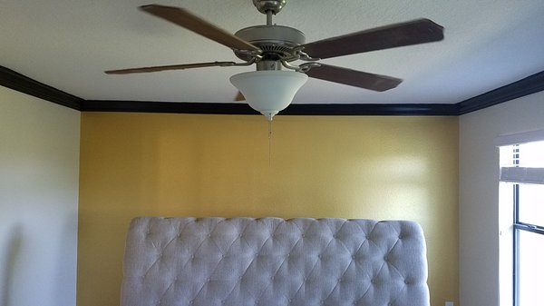 Metallic Gold Finish Accent wall. with Black Trim