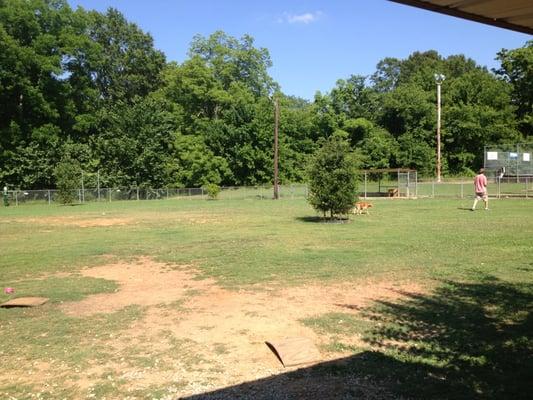 Starkville Dog Park