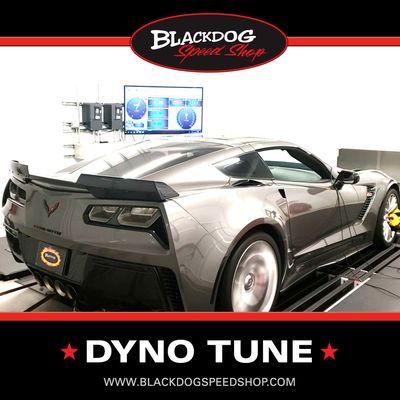 Blackdog Speed Shop All-Wheel Drive Dyno. Our dyno is capable of testing up to 1,600 all wheel horse power, 2,000 rear wheel. (847) 634-7534