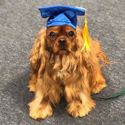 Max, our proud alumni!