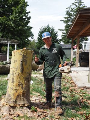 Cutting down trees in a Long Island backyard.