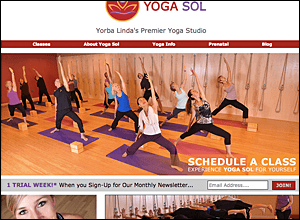 Yoga Sol - Marketing Consultation, AdWords & Facebook Ads, Video Commercial, Website Design, Social Media Marketing, Collateral.