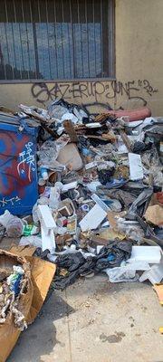 This business had much accumulated trash, resulting in rodents and other biohazardous waste.