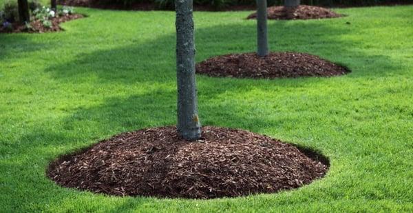 Mulching, edging, and weeding