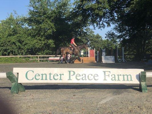 Expert riding instruction for beginner thru advanced, local and rated horse shows.