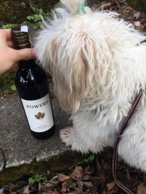 Puppy friendly wine experience.