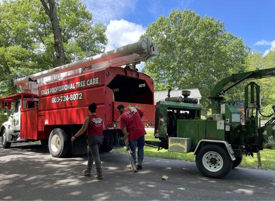 Gill’s Professional Tree Care