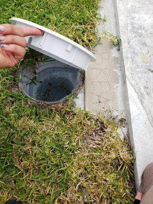 the unsecured skimmer lid in the middle of my yard and the ugly slab of concrete that says "do not break" and is visible from my patio