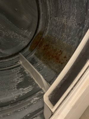 Dryer on the 2nd floor full of water and mildew