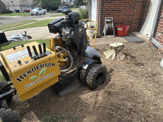 More stump grinding using our stump grinder to grind tree removal stumps in Broken Arrow.