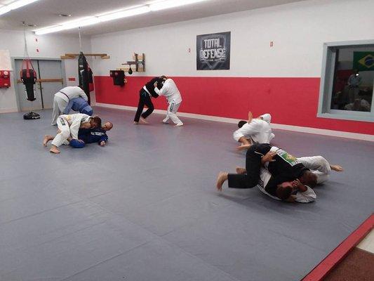 BJJ sparring