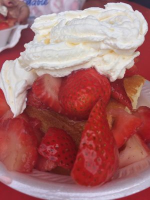 29th Annual Strawberry Festival