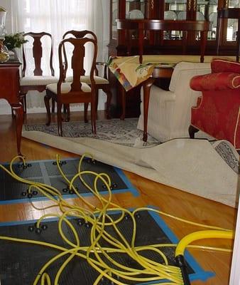 Hardwood Floor Drying