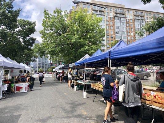 Mt. Vernon Triangle Freshfarm Market