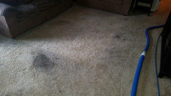 Before:  kids, pets, spills, and dirty shoes can be hard on your carpeting.