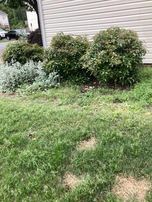 HOA is 100% responsible for lawncare & maintenance. Has been completely neglected.