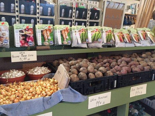 Seed potatoes and onion sets for the garden