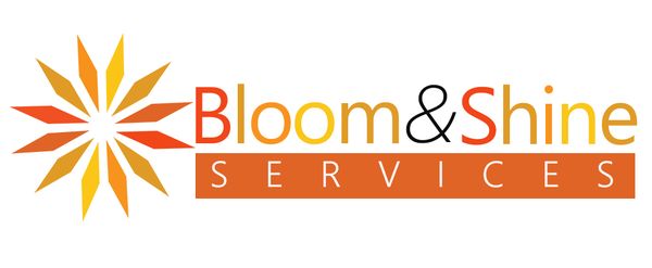 Bloom And Shine Services