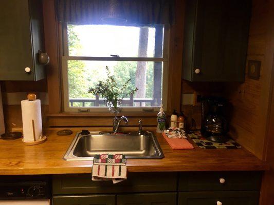 Robin's Nest Cabin - Kitchen