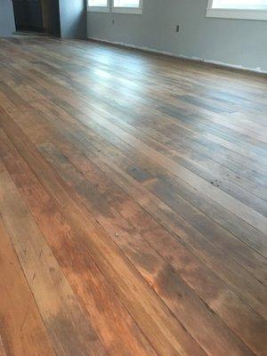 100 year old Doug Fir floor restored.