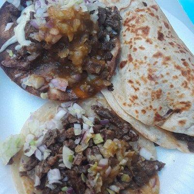 Taco, vampiro, and quesadilla.