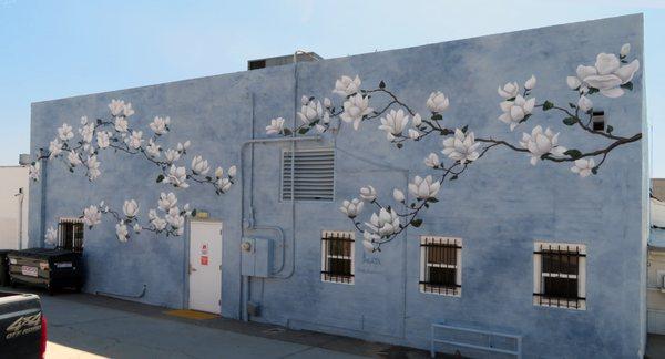 "Magnificent Magnolias" joins other murals at Alley Cat Art Walk in downtown El Cajon