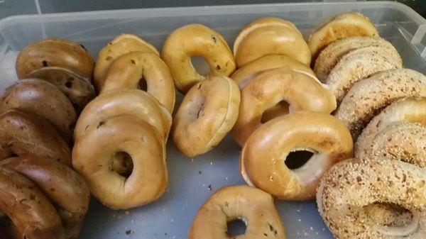 Wholesale Bagels