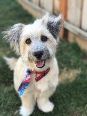 His first groom with Cheryl in May of 2017