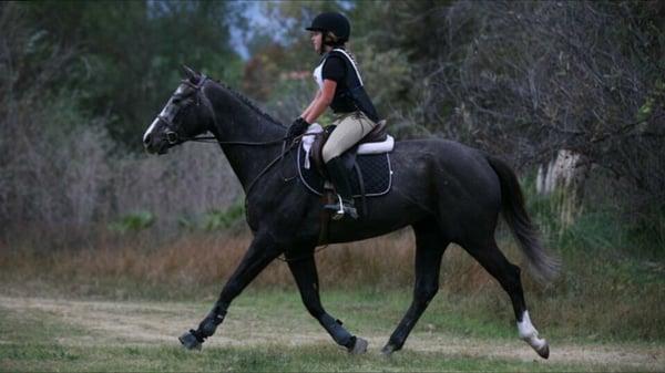 Barley first time on the cross country course