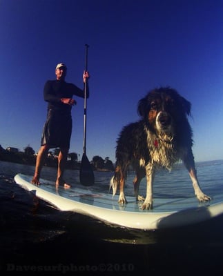 Santa Cruz Stand Up Paddle Board Company