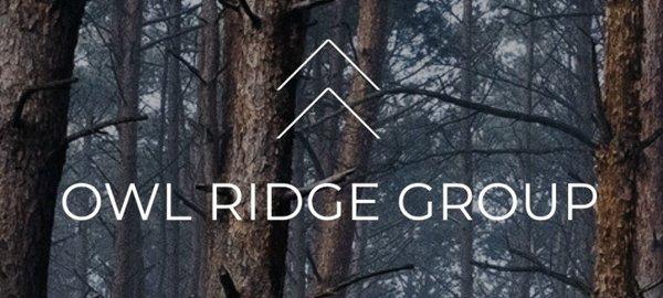 Owl Ridge Group