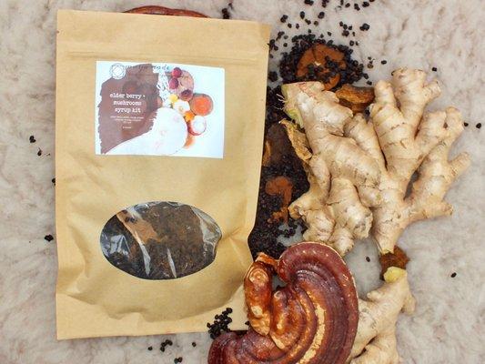 elderberry, reishi, chaga ginger make at home kit.