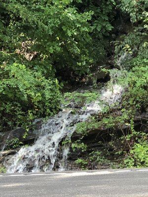 Shoal Creek on Carriage Hill, Signal Mountain ~ 8.22.21