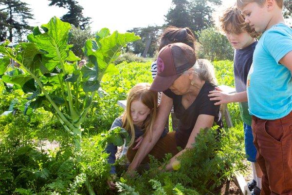 Life Lab Garden at Gateway School