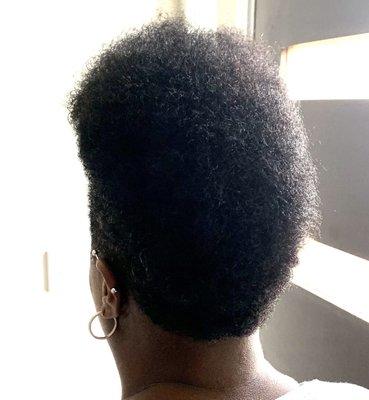 Frohawk trim back view