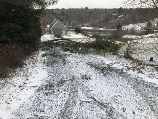 Friday's storm left a mess.