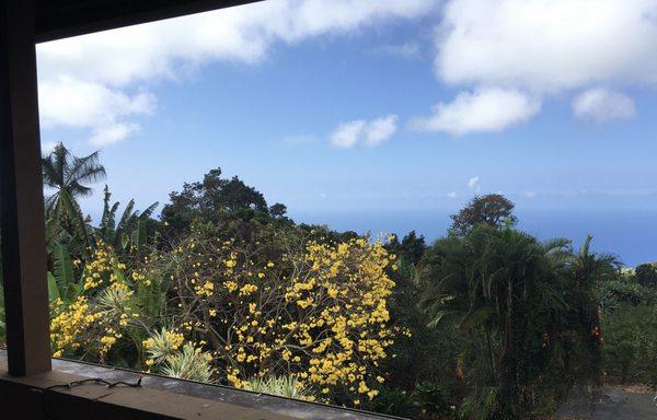 Ocean view off the New Thought Center lanai.