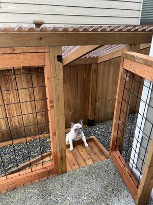 Side doggie entrance off porch.